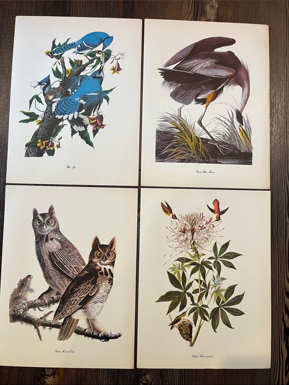Audubon Birds Of America Prints (L2)